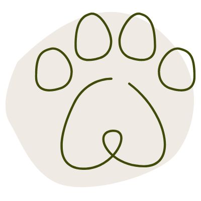 icon(2)