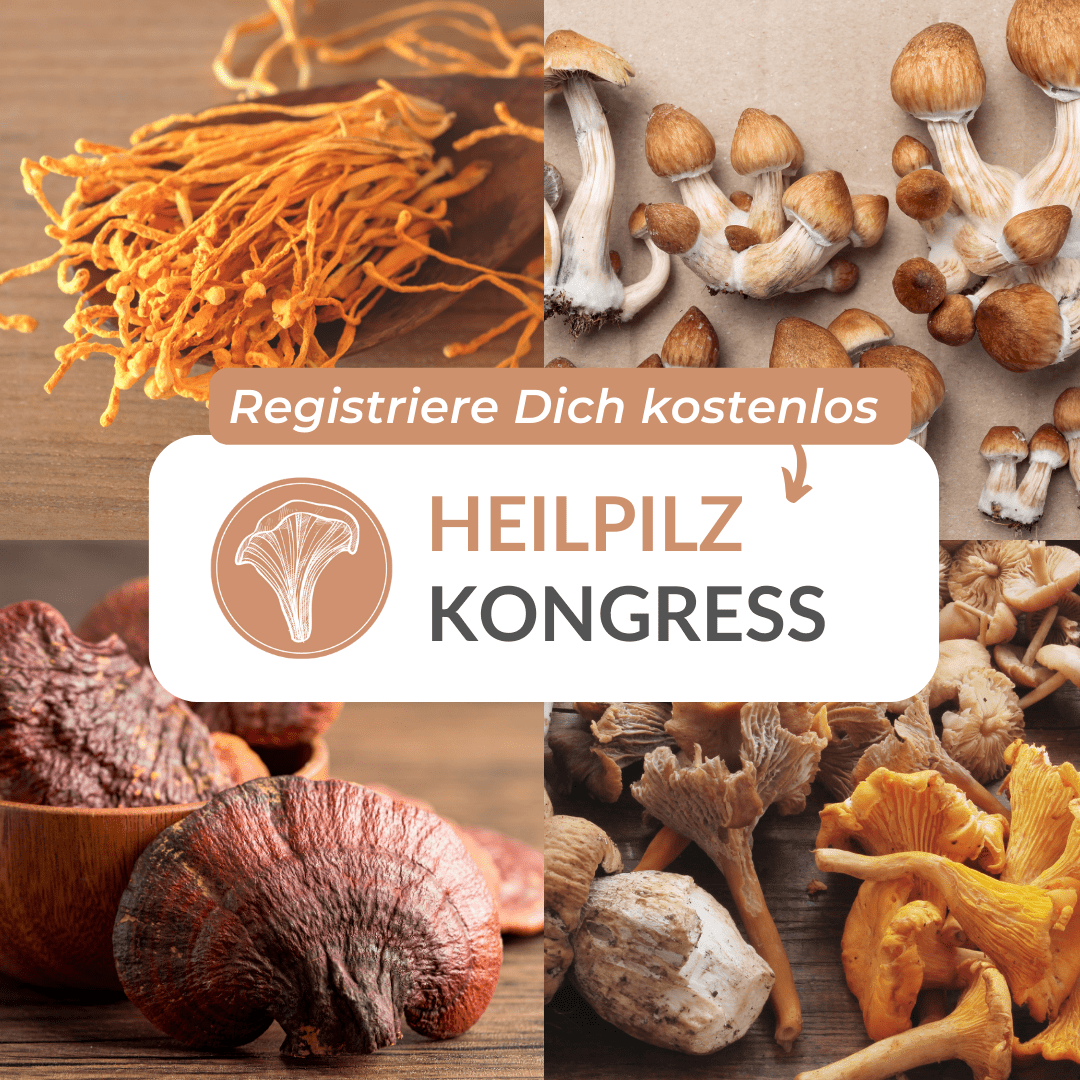 heilpilze-kongress-medumio-min