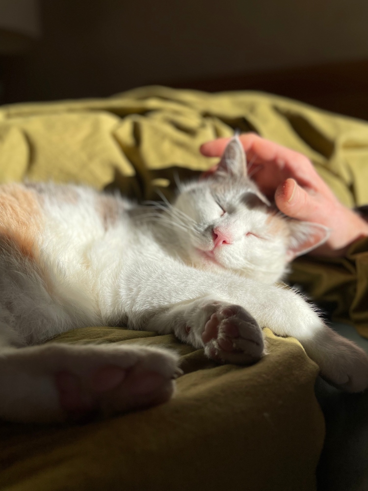 phusis-rubys-gedanken-lesen