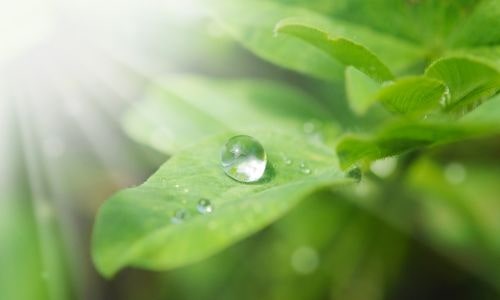 Wasserperle im Licht-Litha-min