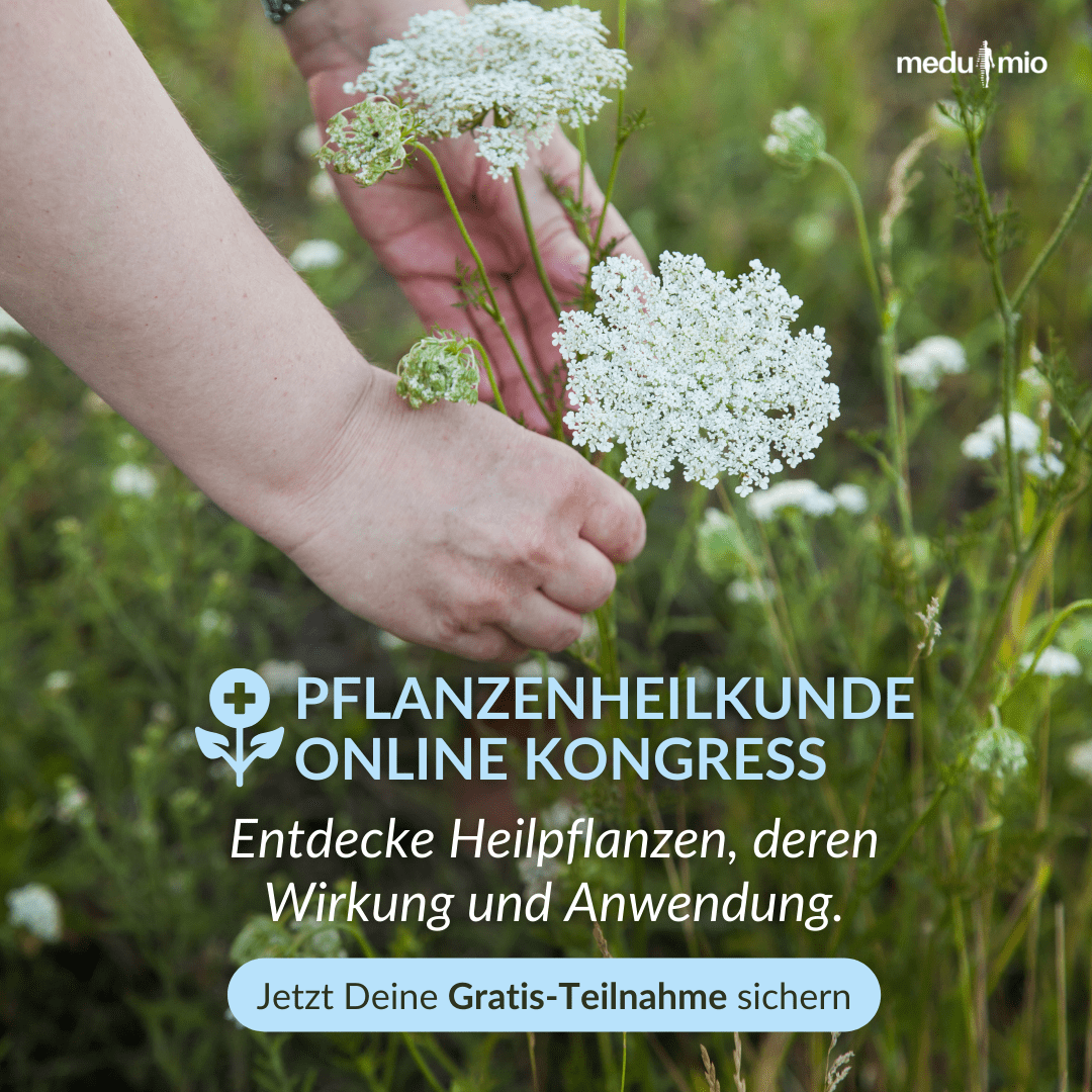 Pflanzenheilkunde_Kongress (8)-min
