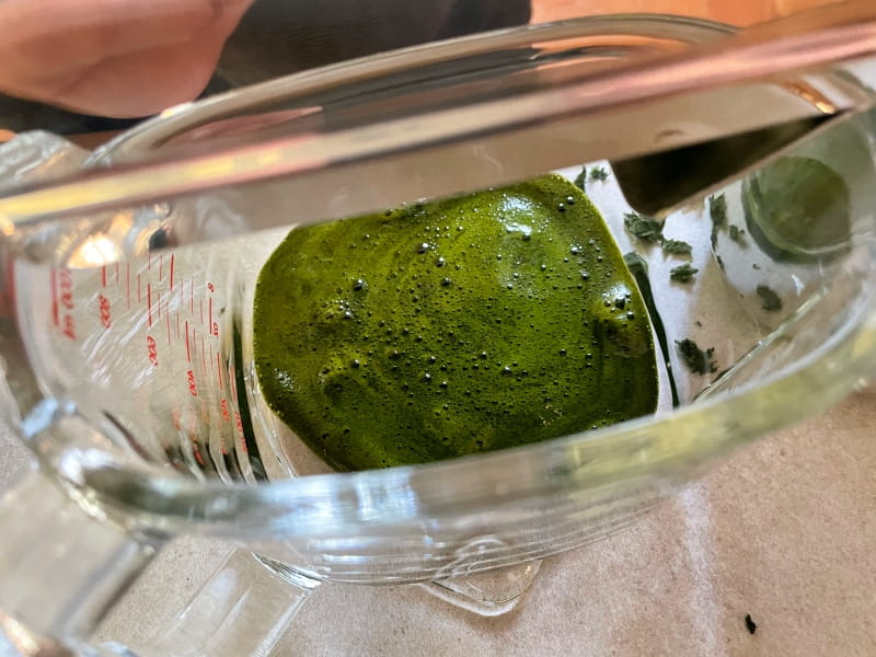 angel-juicer-brennnesselsaft