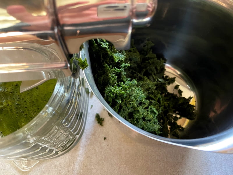 angel-juicer-trester